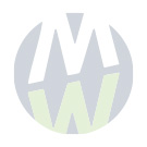 Lehtisarana kromattu 60x60x8mm